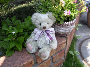 image17