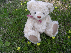 image06