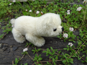 image02